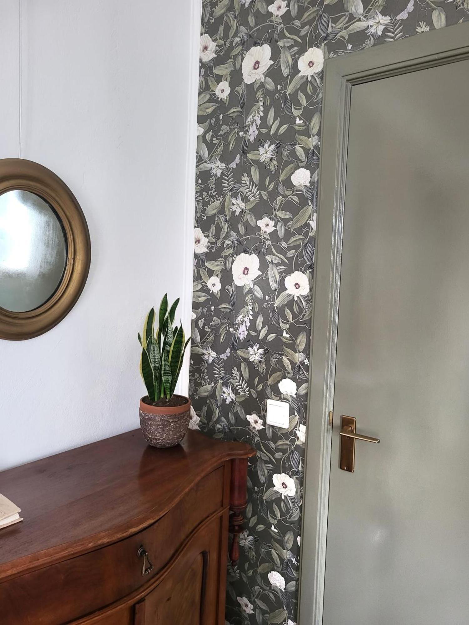 Logement Hartsuiker 霍赫芬 外观 照片